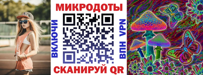 Псилоцибиновые грибы Cubensis  Артём 